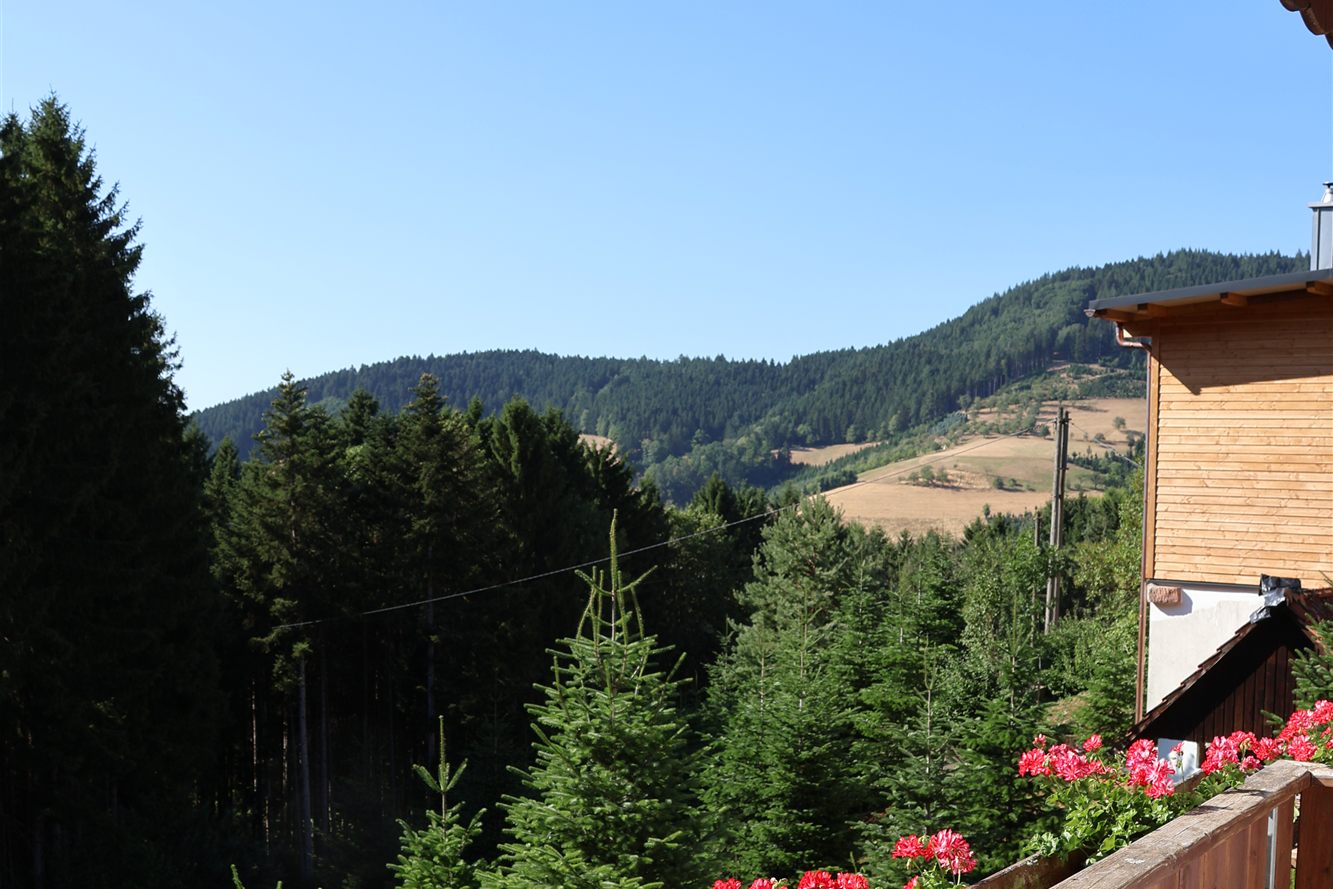 Blick vom Balkon ins Kinzigtal